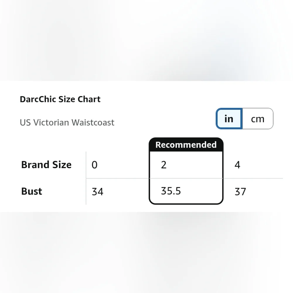 NWT Darc Chic Gothic Victorian Steampunk Top Size Small S - Picture 3 of 6